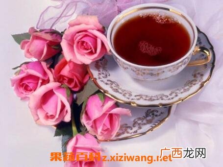 猪胆汁的功效与作用