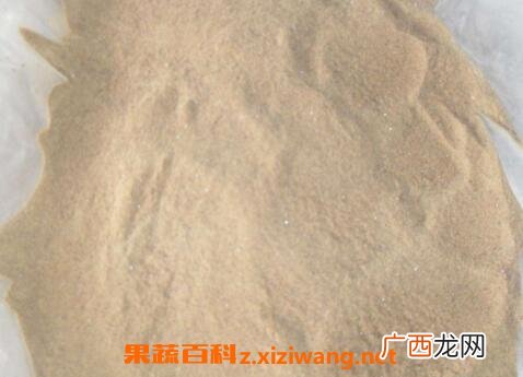 猪胆粉的功效与作用