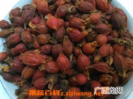 炒栀子的功效与作用