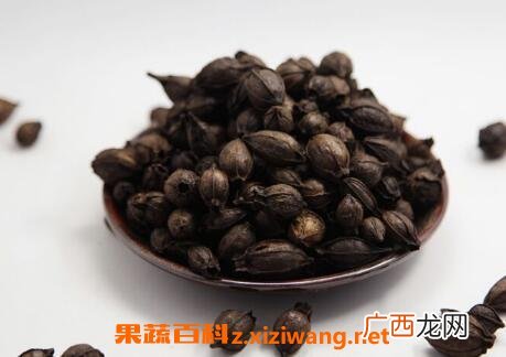 炒栀子的功效与作用