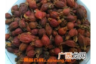 炒栀子的功效与作用