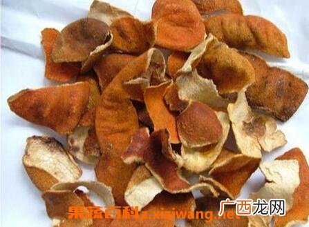 陈皮的药用功效与药用价值