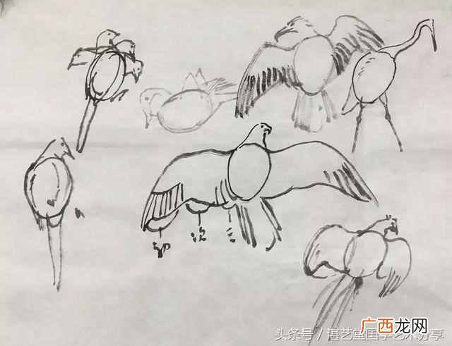 太平鸟画法步骤分享 太平鸟画完写什么字好