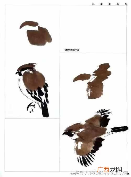 太平鸟画法步骤分享 太平鸟画完写什么字好