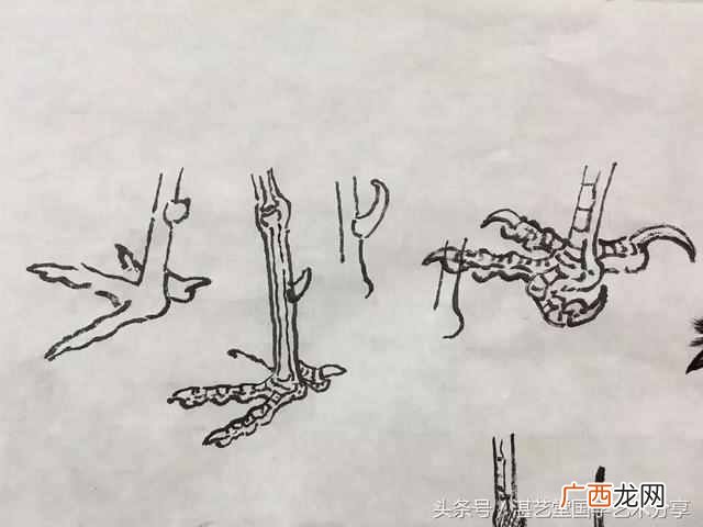 太平鸟画法步骤分享 太平鸟画完写什么字好