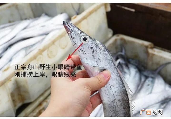 舟山的消费水平 舟山地区的水产品定价问题