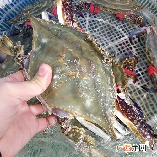 舟山的消费水平 舟山地区的水产品定价问题