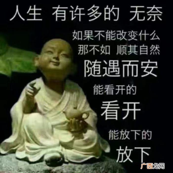 失之我命；得之坦然 得之坦然失之淡然