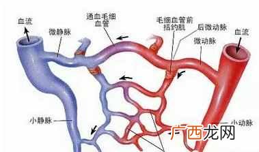 做汗蒸有什么好处 什么是汗蒸馆