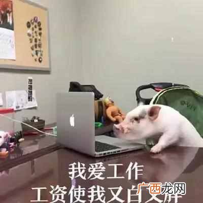 如何坐在家里赚钱的方法（赚钱的网络兼职有哪