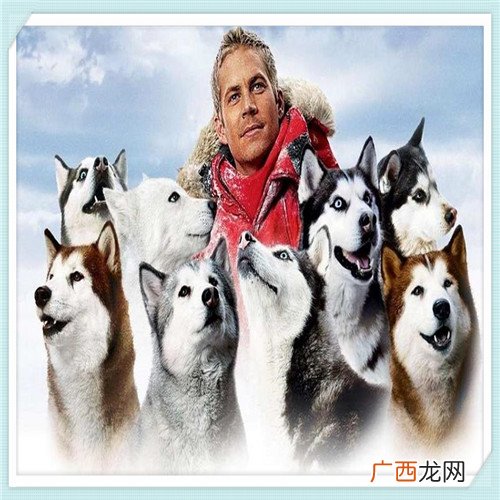 郑炳的课在哪买 郑炳经济学