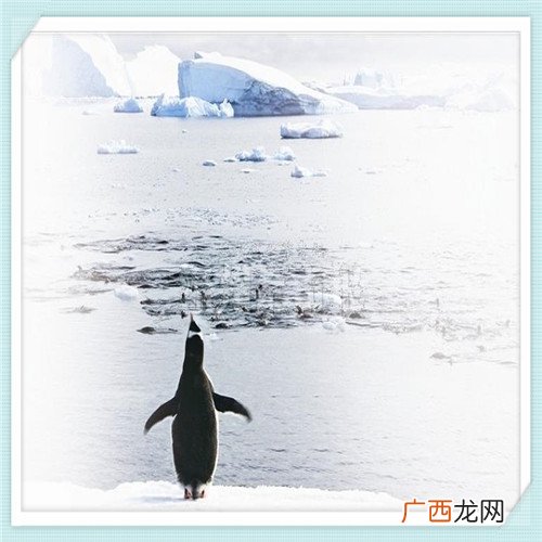 日本egf眼膜 egf面膜金色