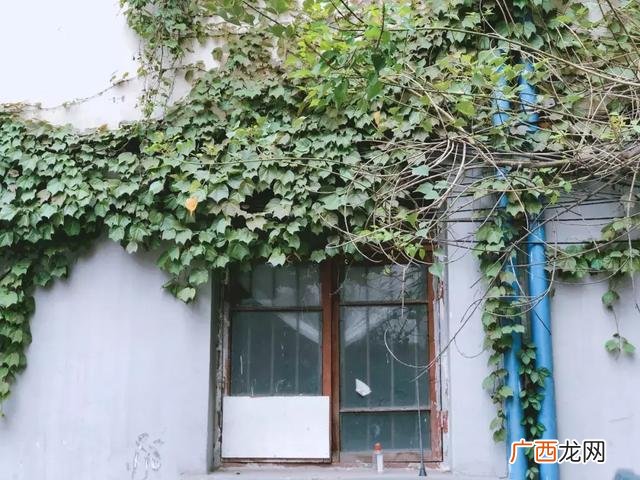 成都师大冷锅串串排名 成都小吃加盟连锁店