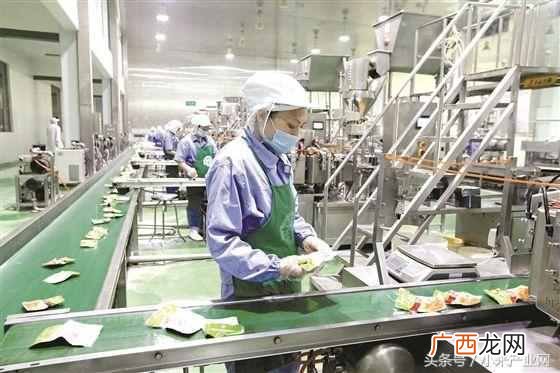 农村办个什么加工厂好（农村适合开什么加工厂