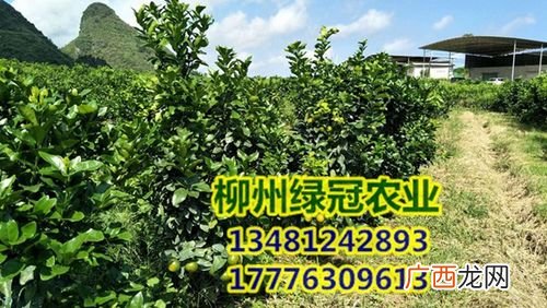 北海市宽利水产有限公司 柳州水产公司