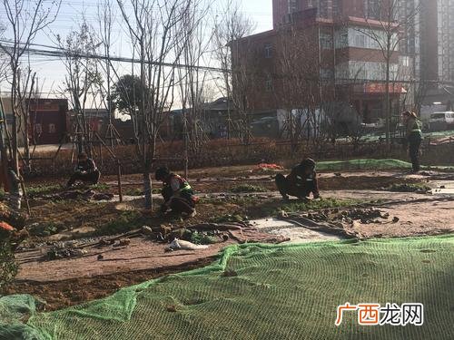 北京盈景园林工程有限公司 岳阳市地景园林工程有限公司