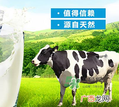 牛初乳是奶粉吗？牛初乳跟奶粉的区别