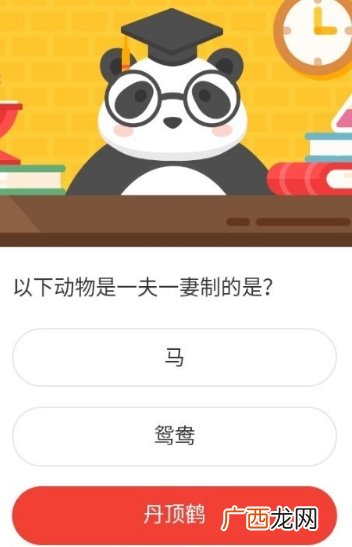 森林驿站以下动物是一夫一妻制的是