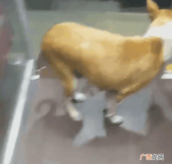 看完深夜评论区的100条留言 留言板留言大全