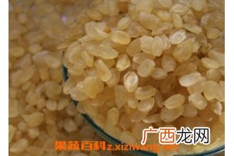 雪莲子的功效与作用及食用方法