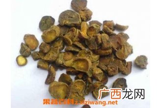 中药延胡索的药用价值与功效