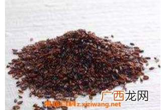盐车前子的功效与作用