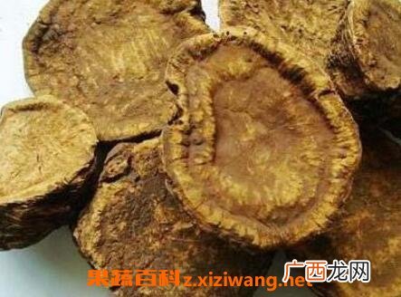 中药熟军的功效与作用