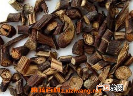 首乌藤的功效与作用 首乌藤的药用价值