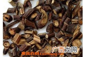 首乌藤的功效与作用 首乌藤的药用价值