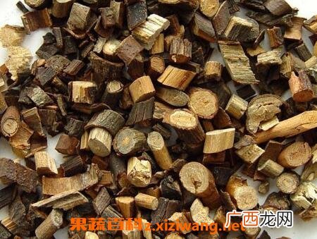 中药钻山风的作用与使用禁忌