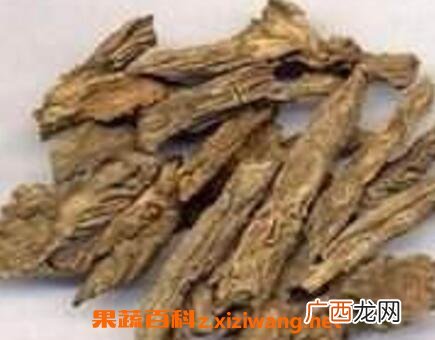 羊蹄根的功效与作用