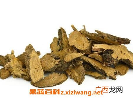 羊蹄根的功效与作用