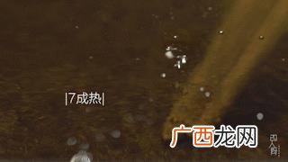 美食天下 中华名小吃创业交流网
