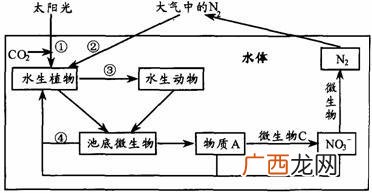 北京24小时内新增54例本土感染者 水产饲料QQ群