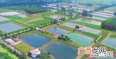 北京24小时内新增54例本土感染者 水产畜牧是干嘛的