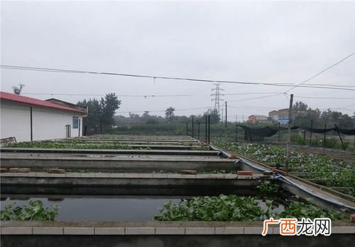北京新增54例感染者 2地升高风险 水产养殖多少成本