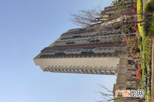 VIVOX27和小米9拍照对比评测