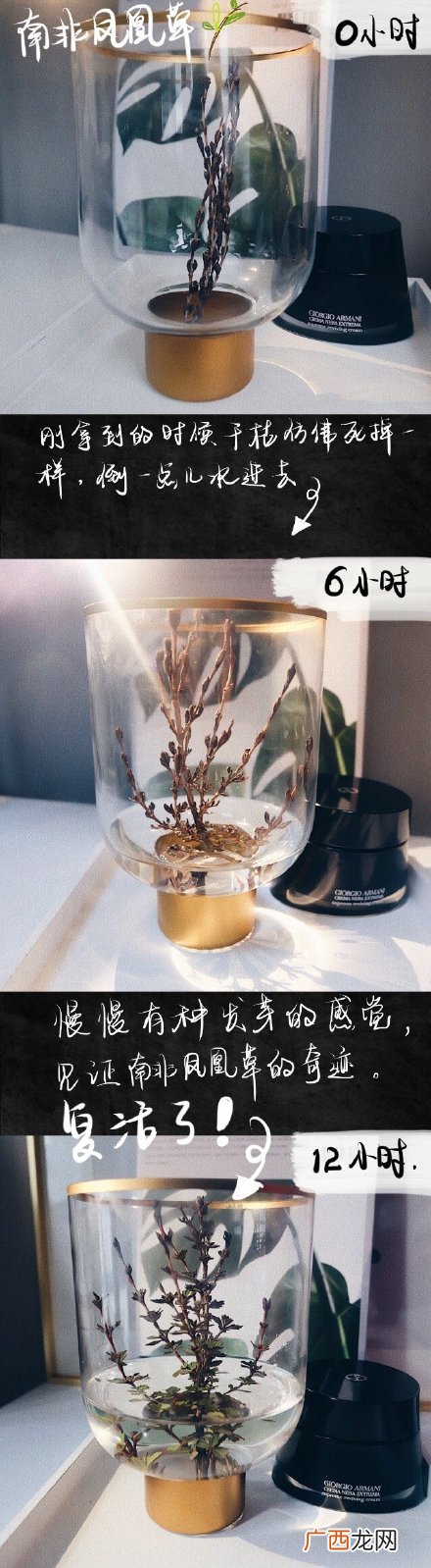 阿玛尼黑钥匙面霜效果评测及价格和使用方法