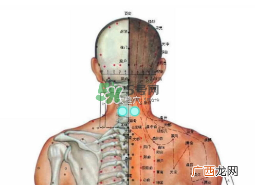 碧缇福护颈仪多少钱？碧缇福护颈仪价格
