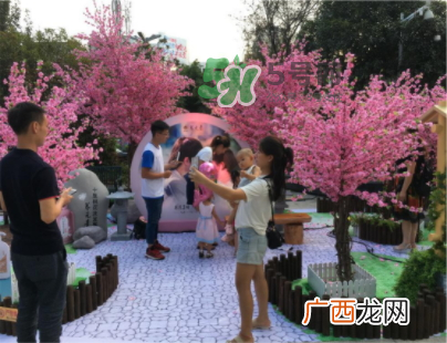 云南白药养元青小养系列多少钱？什么时候上市？