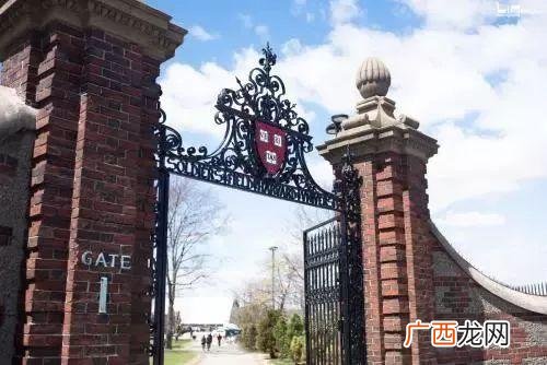 14岁学生党怎么赚钱 00后月入百万