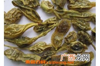 中药槐角的功效与作用