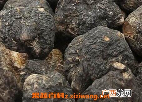 中药黑玛咖的功效与作用