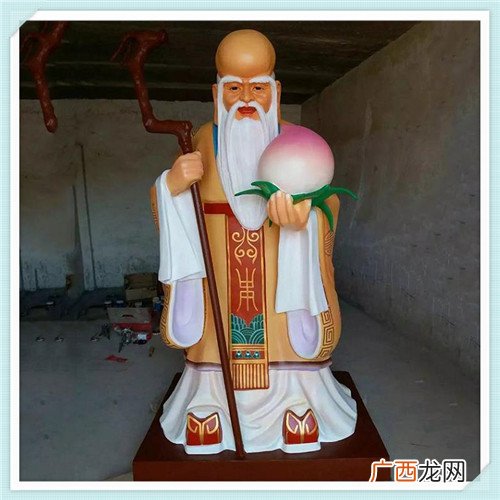 文竹花代表什么寓意 文竹的寓意