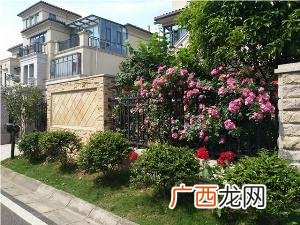 附近花卉市场批发 绿化花卉批发网站