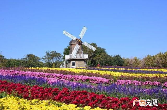 企业简介内容有哪些 花卉生产企业简介
