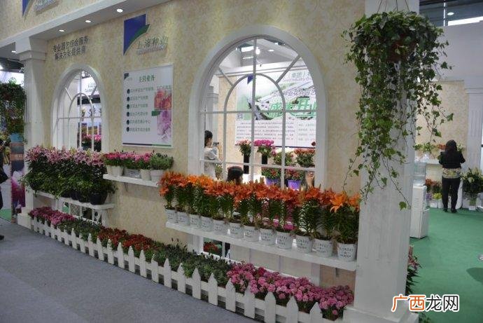 全国花卉产销形势分析 2013年花卉出口数据