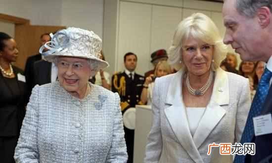 英国皇室成员有哪些人(英国皇室成员关系好不