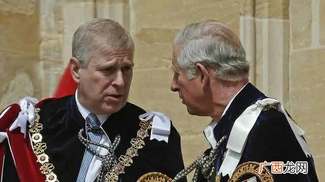 英国皇室成员有哪些人(英国皇室成员关系好不