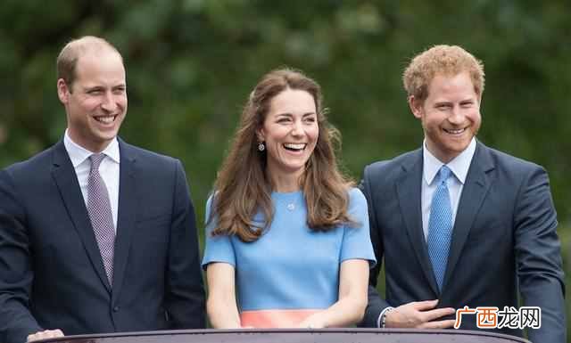 英国皇室成员有哪些人(英国皇室成员关系好不